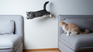 戦略に確率論を取り入れることで優れた意思決定ができる