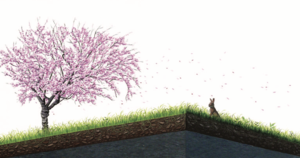 BOP市場で社会起業を成功させる法