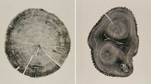「成長する製品」を戦略的に開発する法