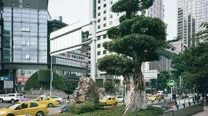 気候変動問題の解決には中国との協力が不可欠である