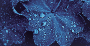 自信を持てない部下に、何をどう語りかけるか