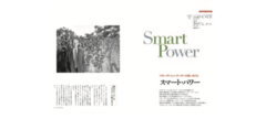 スマート・パワー