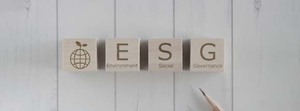 ESG・SDGs経営はもはや避けて通れない。長期的な社会利益のために、戦略的に行うべし