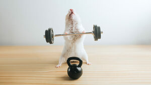 優れたリーダーはあえて部下を助けない