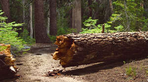 失敗したリーダーの後任に抜擢されたら、何から始めるべきか