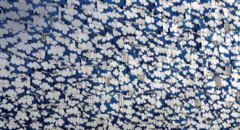 共創型コミュニティで顧客の問題を解決する