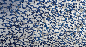 共創型コミュニティで顧客の問題を解決する