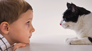 共感力の高い聞き手になる方法