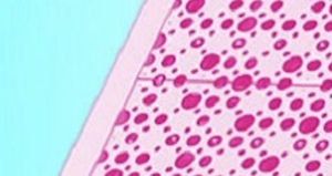 ビッグデータを腐らせる４つの過ち