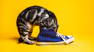 リーダーの好奇心が業績に与えるインパクト