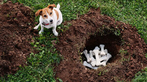 従業員を監視しても生産性は上がらない