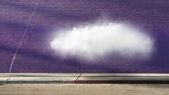 プロフェッショナルファームの成長を支えるのは誰か