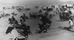 「建設的な不調和」で企業も社員も活性化する