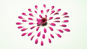 人脈は必ずしもキャリアにプラスになるとは限らない