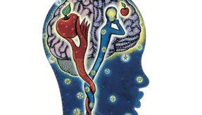 脳の意思決定メカニズム