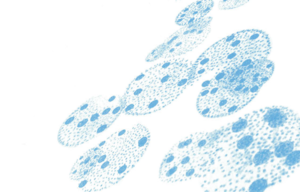 アンバンドリング：大企業が解体されるとき