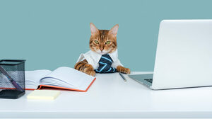 「なぜここで働きたいのですか」と質問された時、面接官に好印象を与える方法