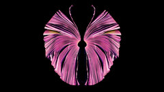 企業文化の変革はリーダーがストーリーを語ることから始まる