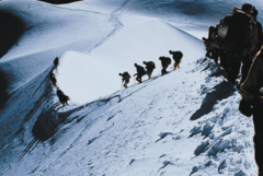 チームとグループは異なる