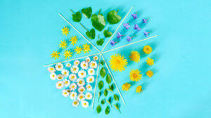 ペプシコはいかに温室効果ガス排出ゼロを目指すのか