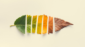 プロフェッショナル人生論