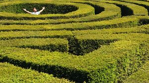 面接であなたの問題解決力をアピールする5つの方法