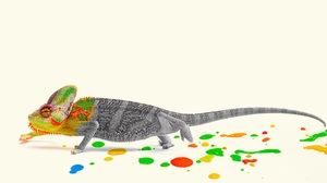 チェンジリーダーが古参社員に同調し始めたら、どうすべきか