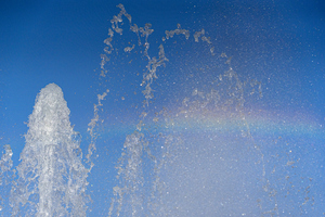 4つの原則で人々に行動を起こさせ、変革に弾みをつける