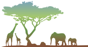 リビング・カンパニー