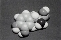 研究開発への積極投資をリードする財務工学