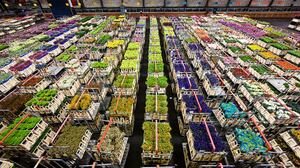 ブランド価値を下げずに売るため、高級ファッション通販は花卸売市場に学べ