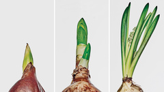 自社の身の丈に合った成長を実現する法