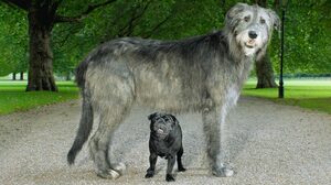 職場での自分の影響力を過小評価していないか