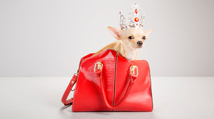 企業が卓越したオムニチャネルを実現する5つの手段