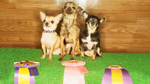 優れた人材を採用したければ、チームに成功をもたらす予測因子を特定せよ