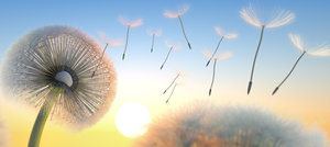 創造性とイノベーションの源となる「繁栄チャネル」とは何か