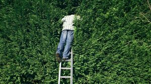 好奇心をコントロールして劇的に生産性を高める方法