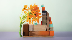 プラットフォーム企業の成長戦略