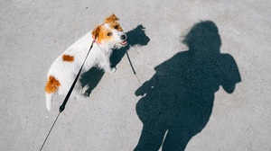 全社一体型の組織運営を成功に導く「従業員シャドーイング」の成果