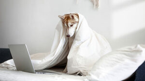 バーチャル環境でも学習の質を落とさないための3つの戦略