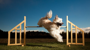 学位を問わないスキルベースの採用を成功させる6つのステップ