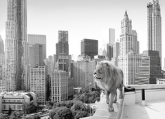 これからの最高サステナビリティ責任者の役割