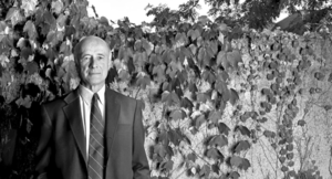 スマート・パワー