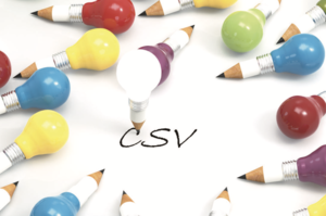 CSVは企業の競争優位につながるか