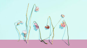 景気後退局面では、なぜ幅広い商品の選択肢を消費者に提示することが有効なのか