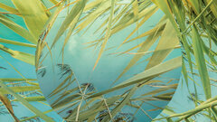 サステナビリティ戦略の真の担い手はミドルマネジャーである