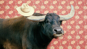 「イエス・アンド」のテクニックが会議で裏目に出る時