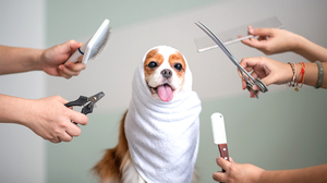 自分というブランドをアップデートする4つのステップ