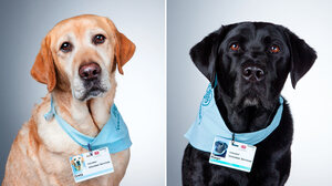 共感力を無理なく発揮し続ける3つの方策