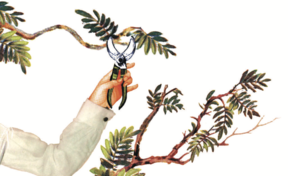 個から始まるしなやかな組織改善